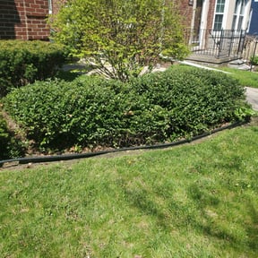 Bush Trimming by Wallace and sons lawn Care and tree serice reviewed on August 17, 2025