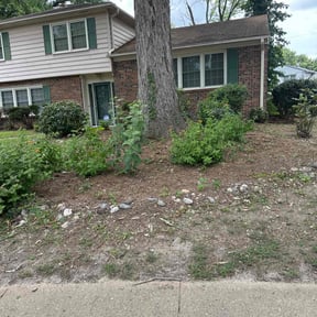 Leaf Removal by TX Lawn Services reviewed on September 19, 2025