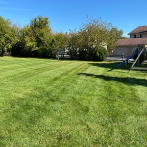 yard maintenance by D&amp;k Taylor lawn care reviewed on April 18, 2024