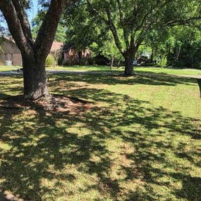 yard maintenance by Leneirs Landscaping reviewed on August 21, 2025