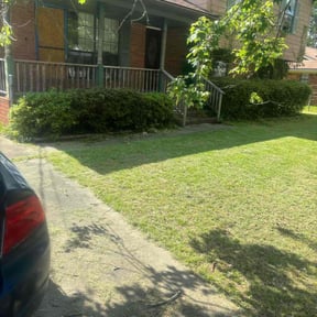 Bush Trimming by Only The Best Handyman Service reviewed on August 15, 2025