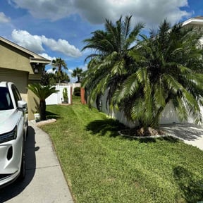 yard service by HTS Landscapes reviewed on August 16, 2025
