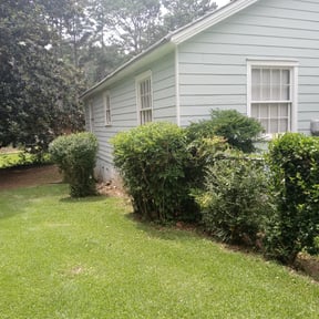 Bush Trimming by Mo Mowing & Yard Clean Up reviewed on August 16, 2025