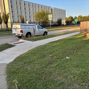 grass maintenance by Professional Home Maintenance reviewed on April 12, 2022