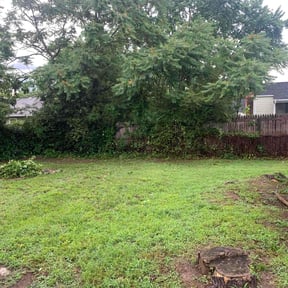 Bush Trimming by Franklin professional services reviewed on August 21, 2025