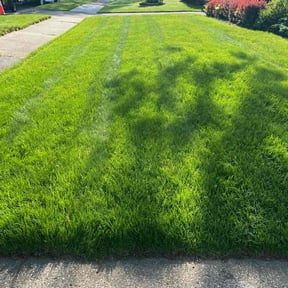 landscaping by A1 Sears Carpet Cleaning/Landscaping reviewed on August 18, 2025