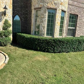 Bush Trimming by Alex&#039;s Lawn Care reviewed on November 6, 2025