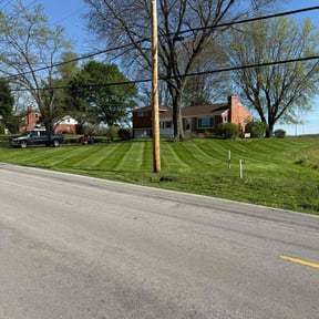 residential landscaping by D Taylor's Property services reviewed on August 21, 2025