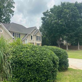Bush Trimming by Pinnacle Maintenance Group reviewed on July 31, 2026