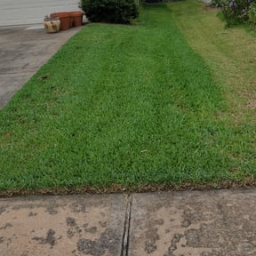 yard work by Fierros Landscaping Services reviewed on August 19, 2025