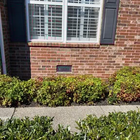 Bush Trimming by Torres Lawn Care reviewed on August 19, 2025