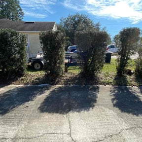 Bush Trimming by La Costa Irrigation & Landscaping LLC reviewed on August 14, 2025