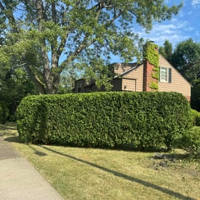 Bush Trimming by Monroeville lawn service reviewed on August 19, 2025