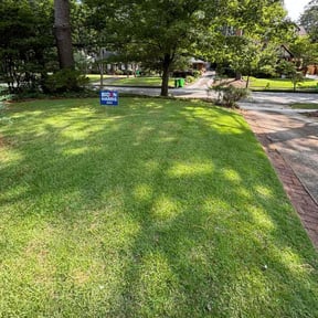 yard service by Green Deal Appeal reviewed on August 19, 2025