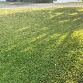lawn care by YardPro reviewed on September 18, 2023