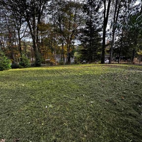 Leaf Removal by D&amp;k Taylor lawn care reviewed on November 4, 2025