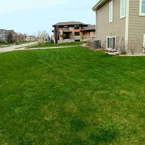 yard work by Lowcountry yard maintaince reviewed on August 19, 2025