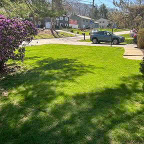 yard work by One On One Lawn Cuts reviewed on November 24, 2025