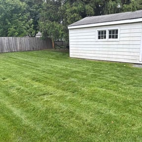 turf maintenance by Lawnscapers, Inc. reviewed on August 16, 2025