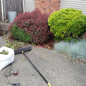 Bush Trimming by St Charles Services reviewed on August 14, 2025