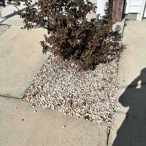 Flower Bed Weeding by Clean&amp;Clear reviewed on March 17, 2026