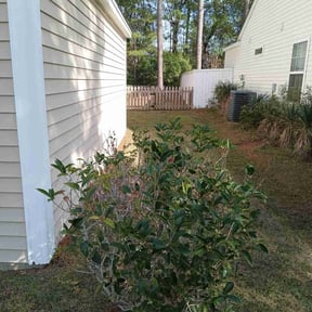 Bush Trimming by The Yard Butler of DFW reviewed on August 18, 2025
