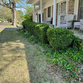 Bush Trimming by JR Lawn Maintenance reviewed on August 17, 2025