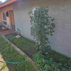 Bush Trimming by Zack and Tyler's Lawn Care reviewed on February 5, 2026