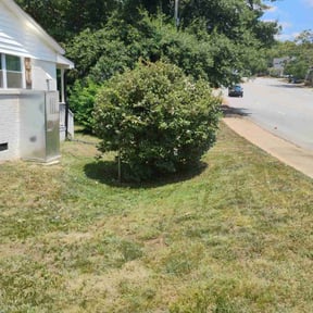 Bush Trimming by Jose Martinez landscape services reviewed on August 15, 2025