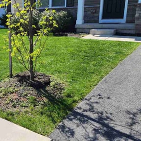 yard care by RGV LawnCare Services reviewed on March 29, 2024