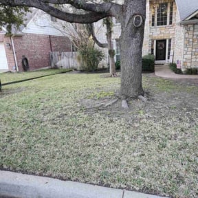 Leaf Removal by Blevins All Around Maintenance reviewed on September 9, 2025