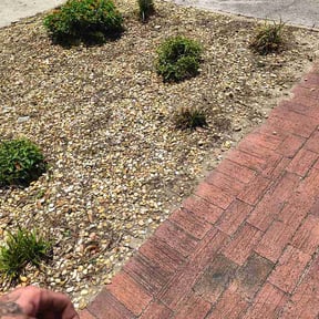 Flower Bed Weeding by Garrett's Family Lawn Care reviewed on June 30, 2026
