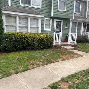 Bush Trimming by St Charles Services reviewed on August 17, 2025