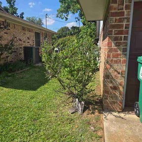 Bush Trimming by DaliaRosa reviewed on April 24, 2026