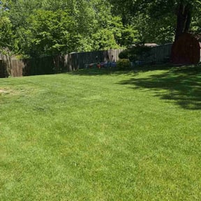 landscaping by Southern Sunscapes reviewed on August 17, 2025