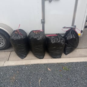 Leaf Removal by John lawns LLC reviewed on August 18, 2025