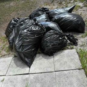 Leaf Removal by ProGreenlq reviewed on September 8, 2025