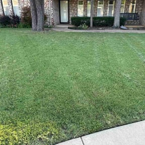 turf maintenance by Vexs Lawncutters reviewed on January 6, 2024