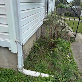 Bush Trimming by Groves Property Services reviewed on October 19, 2025