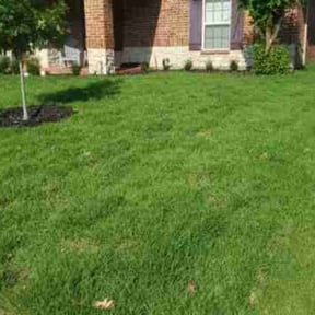 yard maintenance by Let Us Do It For You reviewed on January 21, 2026