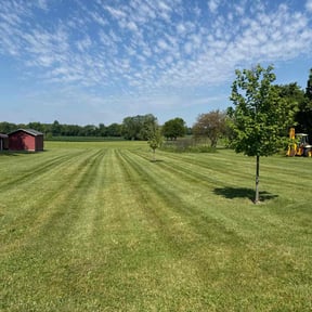 lawn care by Dallas Enterprise LLC Lawn Care Services reviewed on December 20, 2023