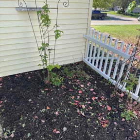 Flower Bed Weeding by Philadelphia Lawn Care reviewed on May 11, 2026
