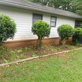 Bush Trimming by Vega Outdoor Design reviewed on May 29, 2026