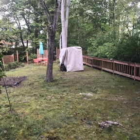 Leaf Removal by The A Family LLC reviewed on August 17, 2025