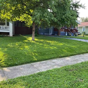 grass cutting by Lion's Landscaping reviewed on March 22, 2024