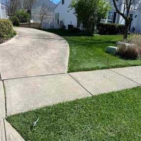 landscaping services by C&Z Contracting LLC reviewed on August 17, 2025