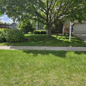 yard maintenance by A-1 Curb Appeal reviewed on November 18, 2025