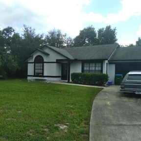 Bush Trimming by Tefel rivera reviewed on August 15, 2025