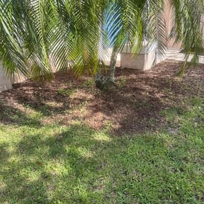 Leaf Removal by Pro Clean Solutions Inc. reviewed on September 27, 2025