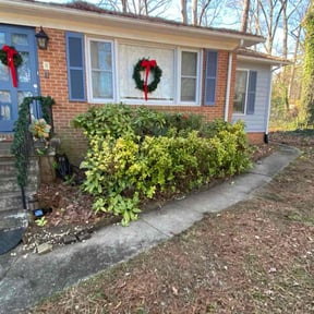 Bush Trimming by Three E's Lawn Care LLC. reviewed on December 16, 2025